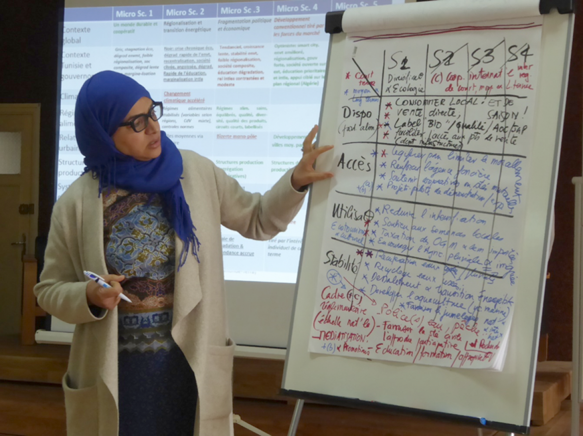 En utilisant la prospective Agrimonde-Terra, la Tunisie a construit un scénario de développement agricole axé sur l'agro-écologie. Une centaine de cadres du Ministère de l'agriculture et des ressources hydrauliques à la prospective se sont formés à la démarche en vue de préparer les futures politiques agricoles du pays. © D. Lacroix